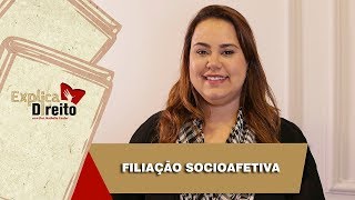 Explica Direito Filiação Socioafetiva  2019 [upl. by Allyn]